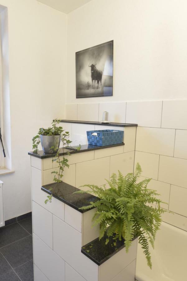 Kaiserliche Hofpost, Mit Whirlpool Und 2 Terrassen Schleiden Exteriör bild
